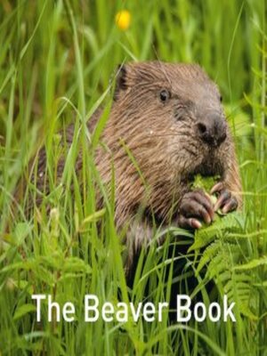 cover image of The Beaver Book